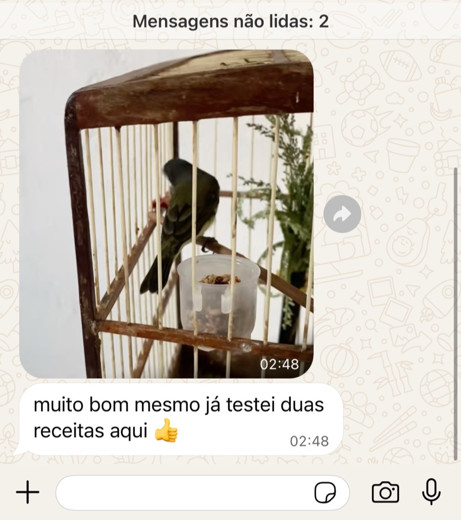 Print de conversa no WhatsApp: a foto de um pássaro no poleiro da gaiola e a mensagem 