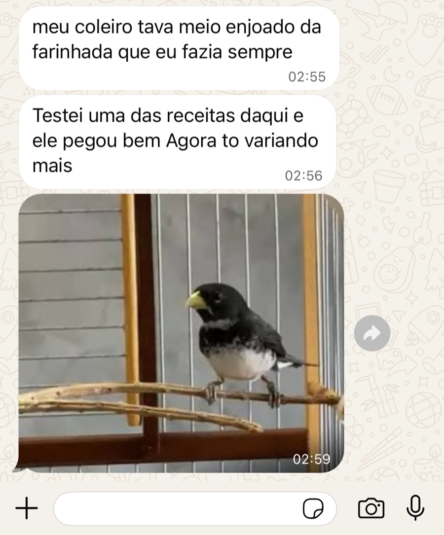 Print de conversa no WhatsApp: 