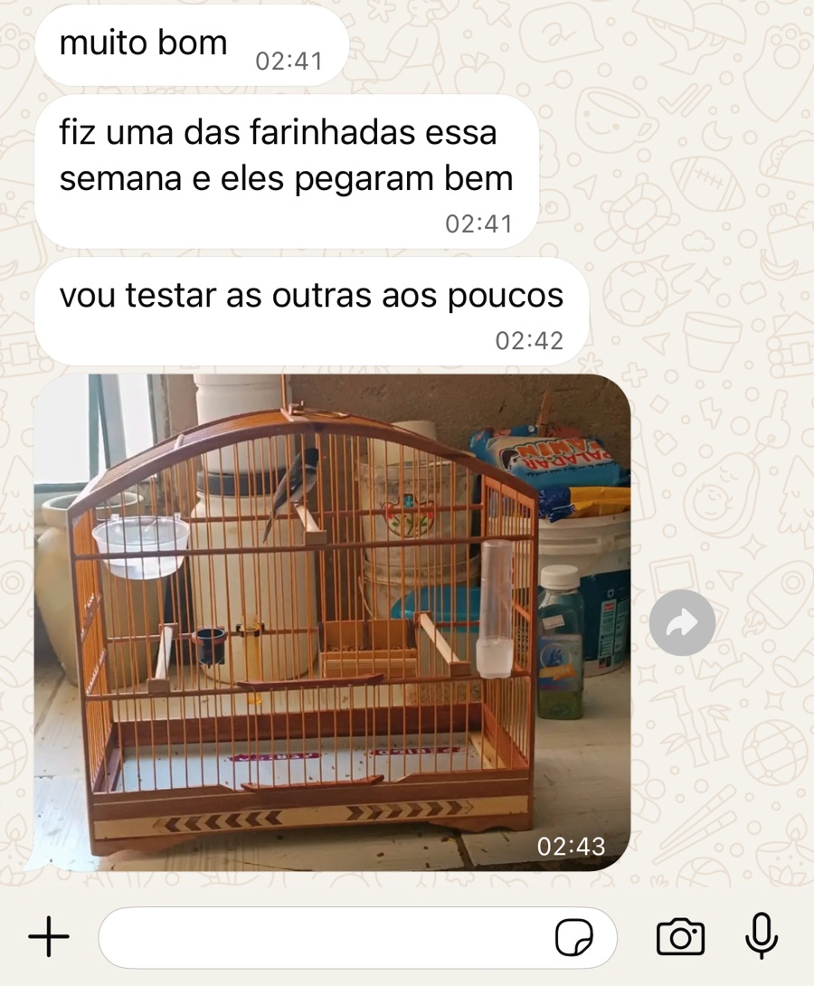 Print de conversa no WhatsApp: 