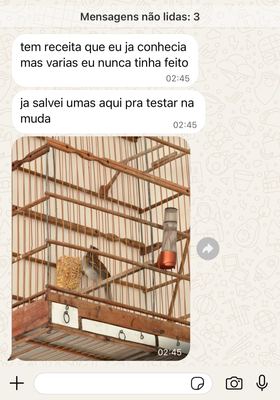 Print de conversa no WhatsApp: 