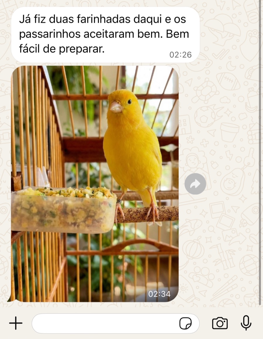 Print de conversa no WhatsApp: 