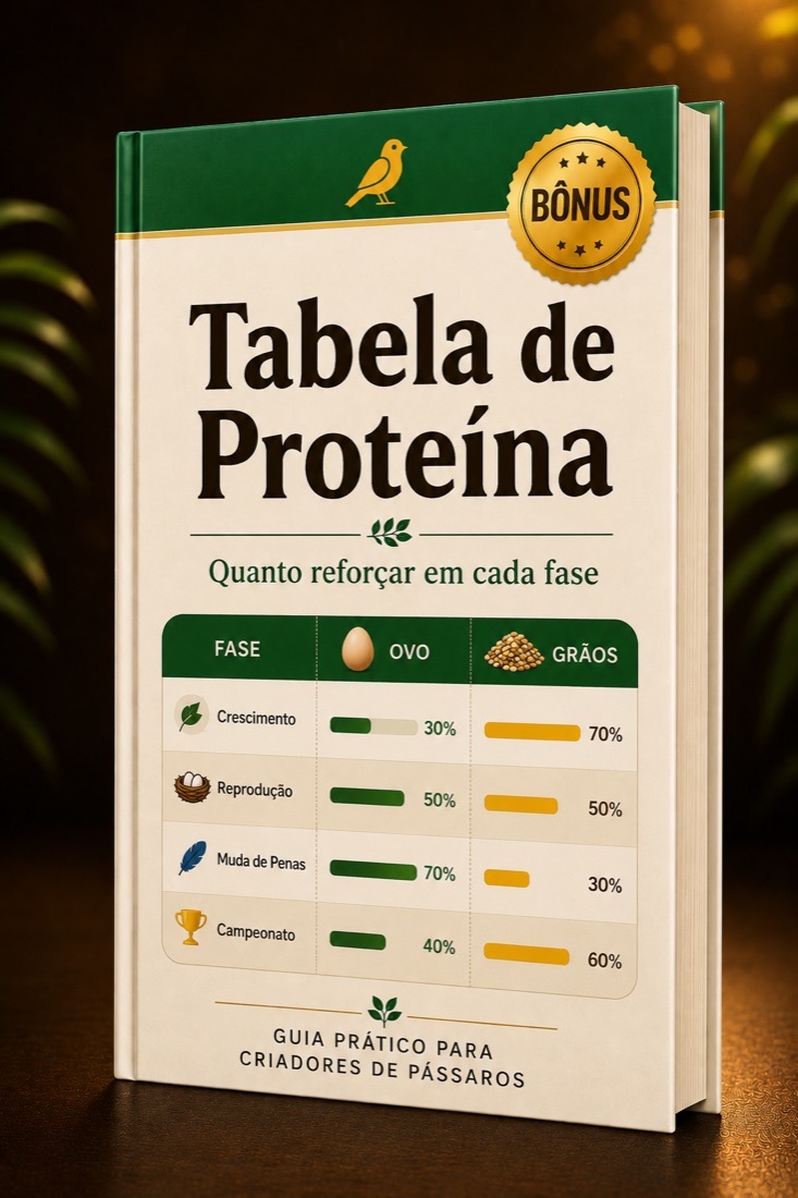 Bônus: Tabela de Proteína por Fase